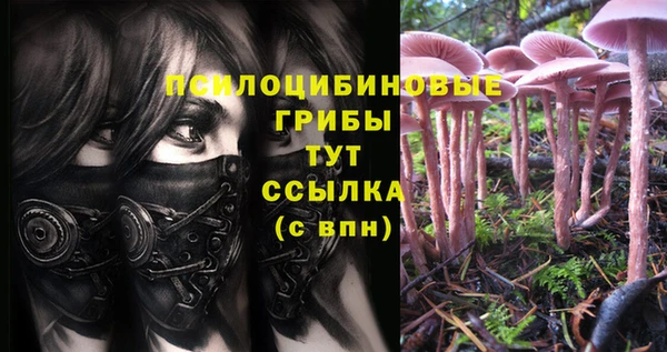 первитин Верея