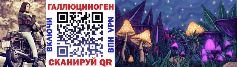 где можно купить   Сердобск  Галлюциногенные грибы MAGIC MUSHROOMS 