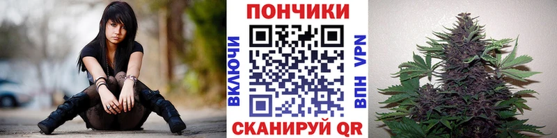 Каннабис Amnesia  Сердобск 